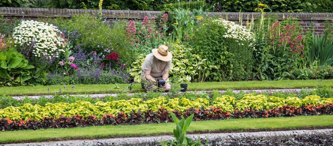 paysagiste à l'entretien d'un jardin