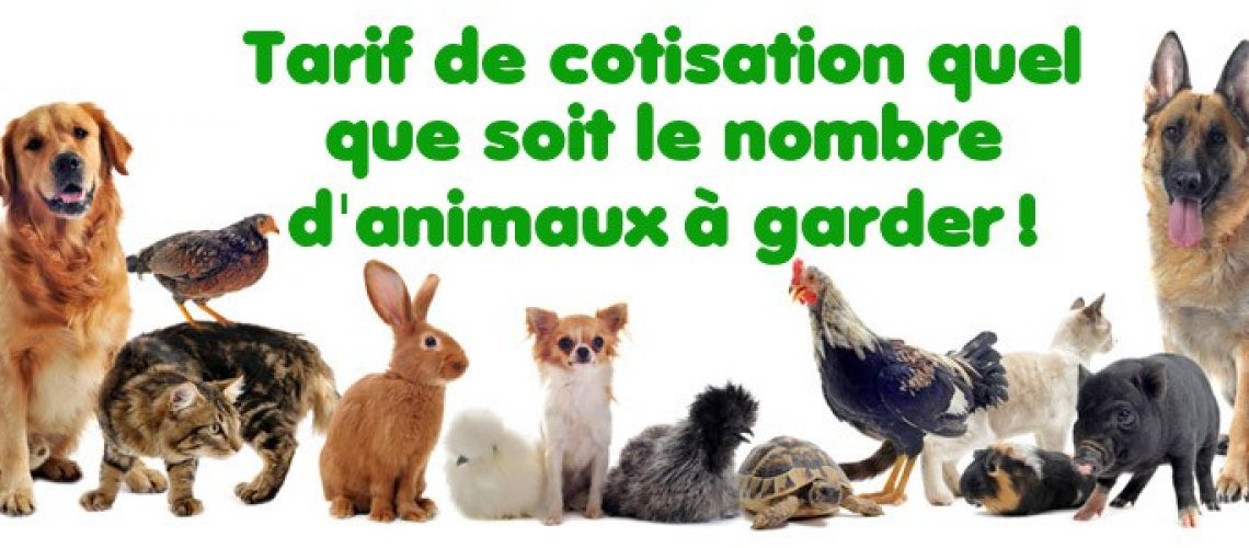 www.journal-des-commerces.fr___Faire garder son animal de compagnie à domicile